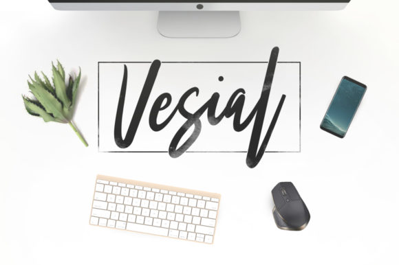 Elevate Your Brand with Vesial: A Handwritten Font for Business