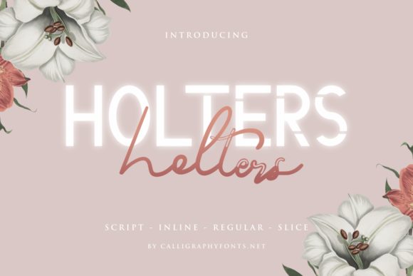 Holters: A Versatile Font for Creative Campaigns