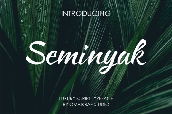 Introducing Seminyak: A Handwritten Font for Modern Marketers