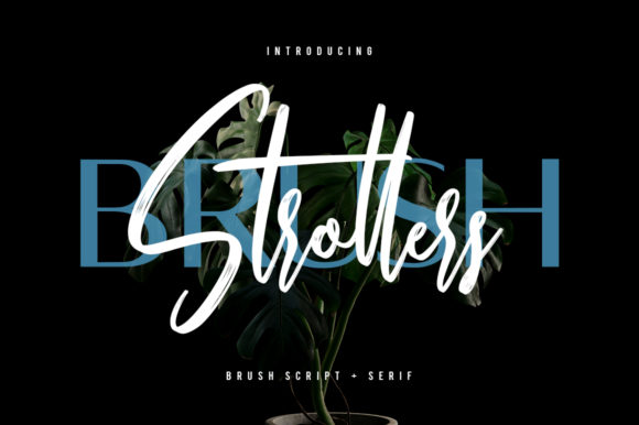 Strollers: A Versatile Font for Creative Branding