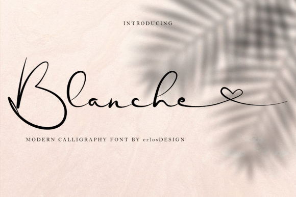 Transform Your Brand with Blanche: A Premium Handwritten Font